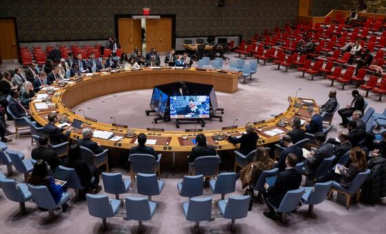 安理会就苏丹和南苏丹局势举行的会议全景。